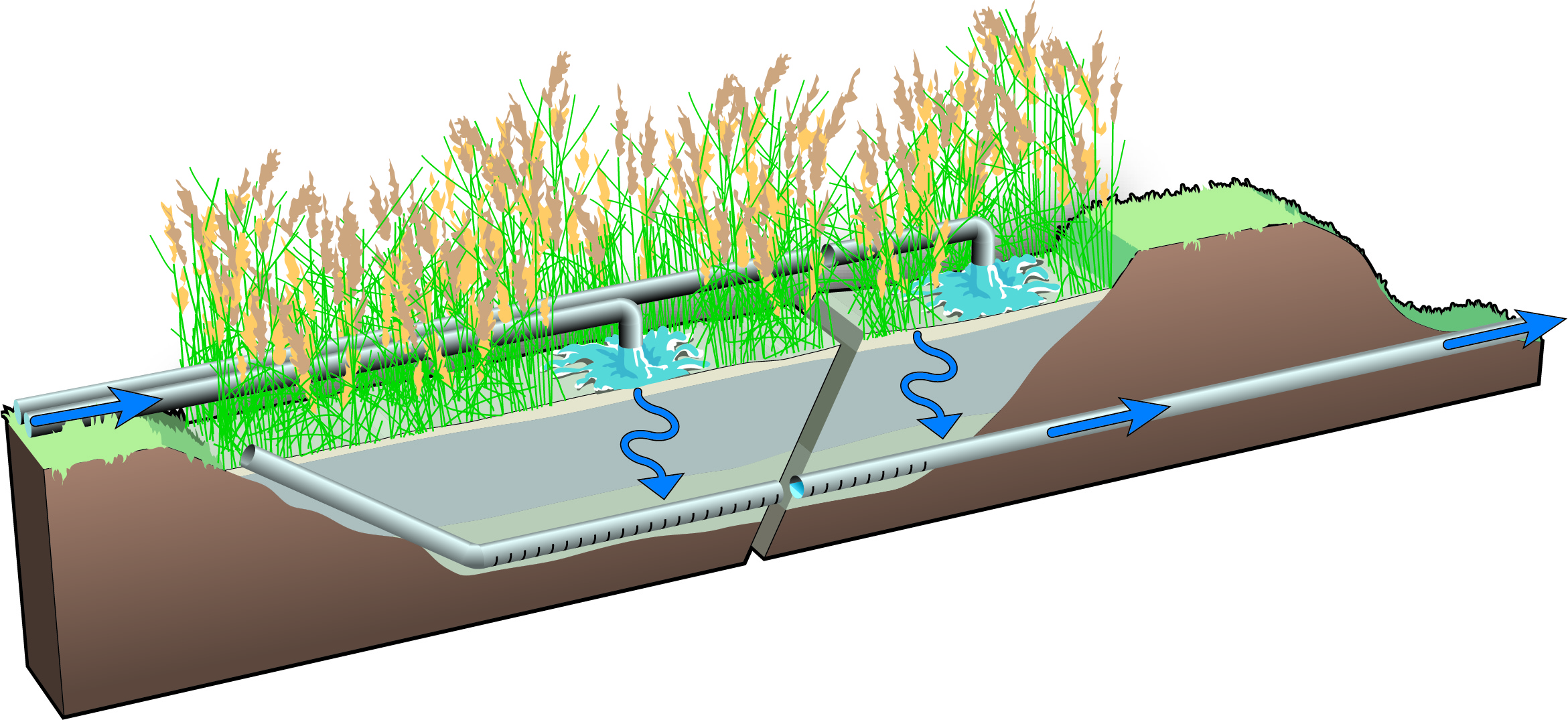 Adobestock 377387988 Preview