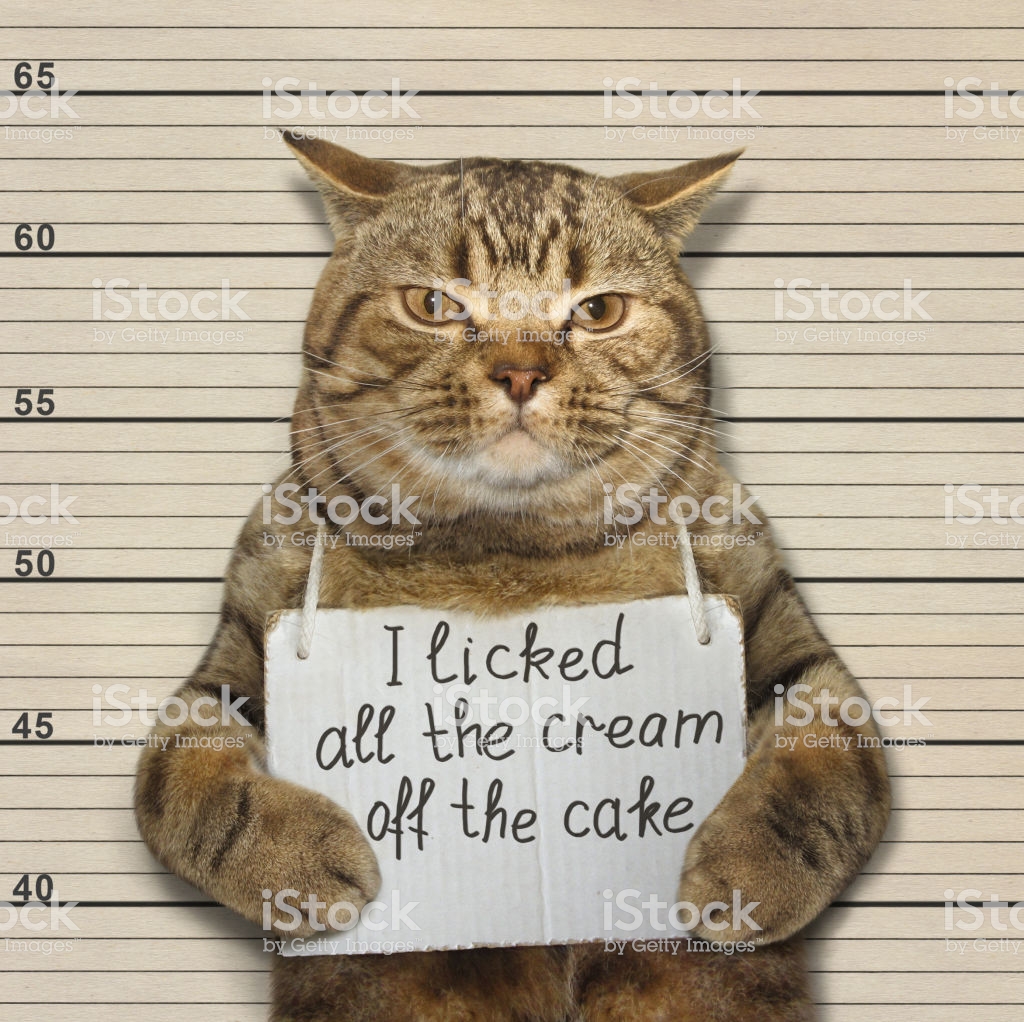 Istockphoto 854904700 1024X1024 (1)